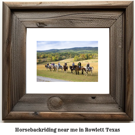 horseback riding near me in Rowlett, Texas